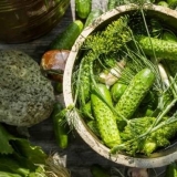 Slani krastavci u vrućem salamuri